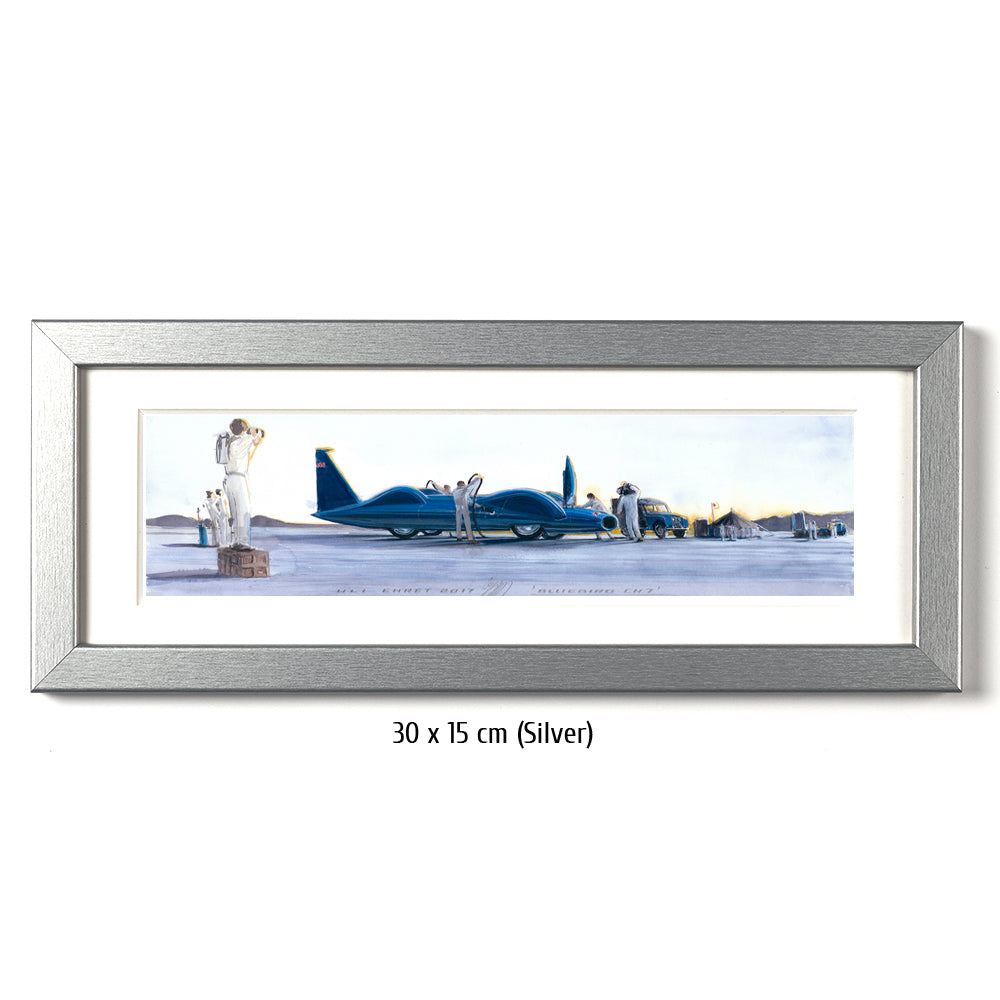 #0692 Oiseau bleu CN7