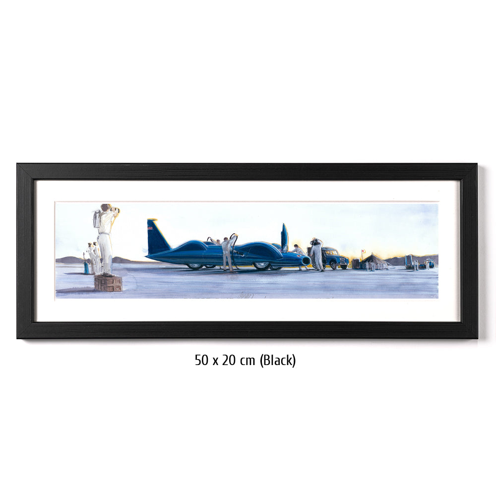 #0692 Oiseau bleu CN7