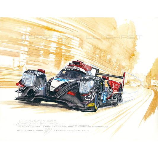 #0738 'Jackie Chan DC Racing #33'