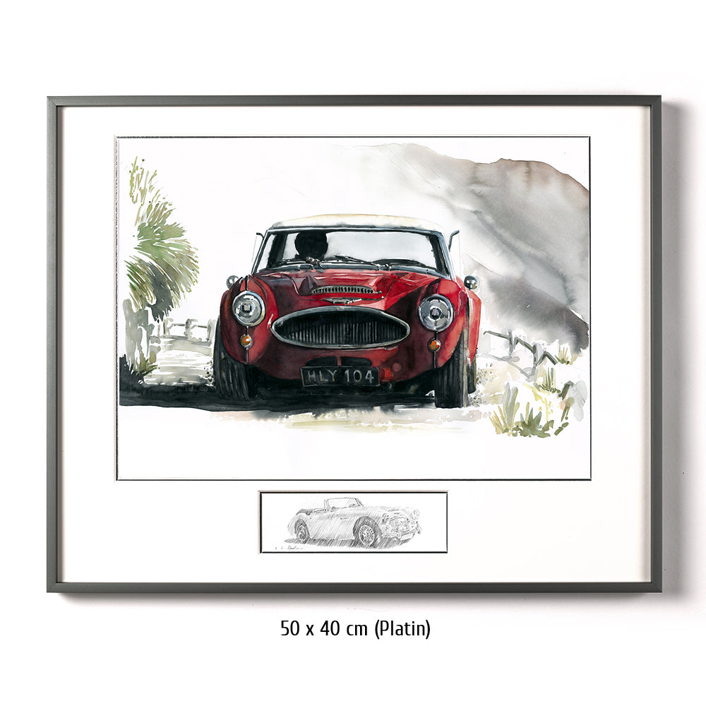 #0075Austin Healey 3000