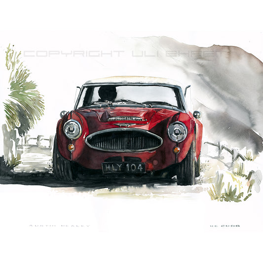 #0075Austin Healey 3000