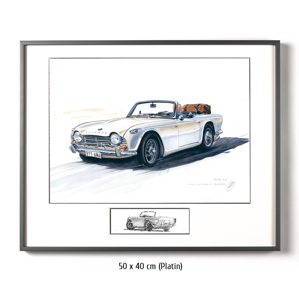 #0873 Triomphe TR4