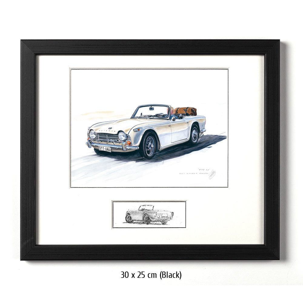 #0873 Triomphe TR4