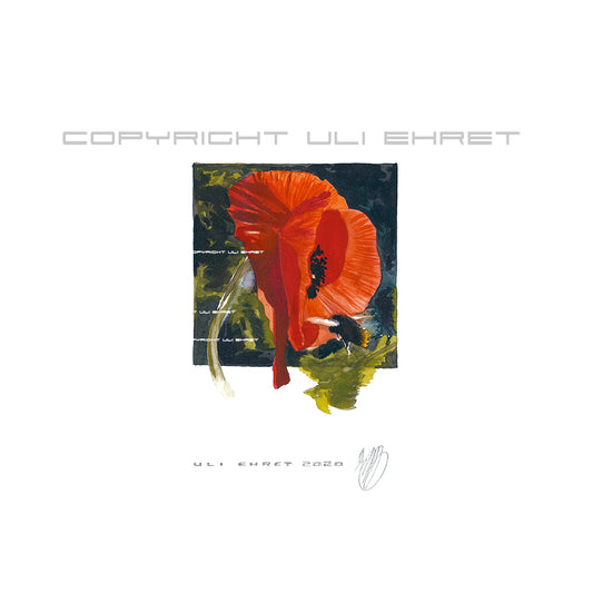 #0886 Coquelicot et Bourdon 
