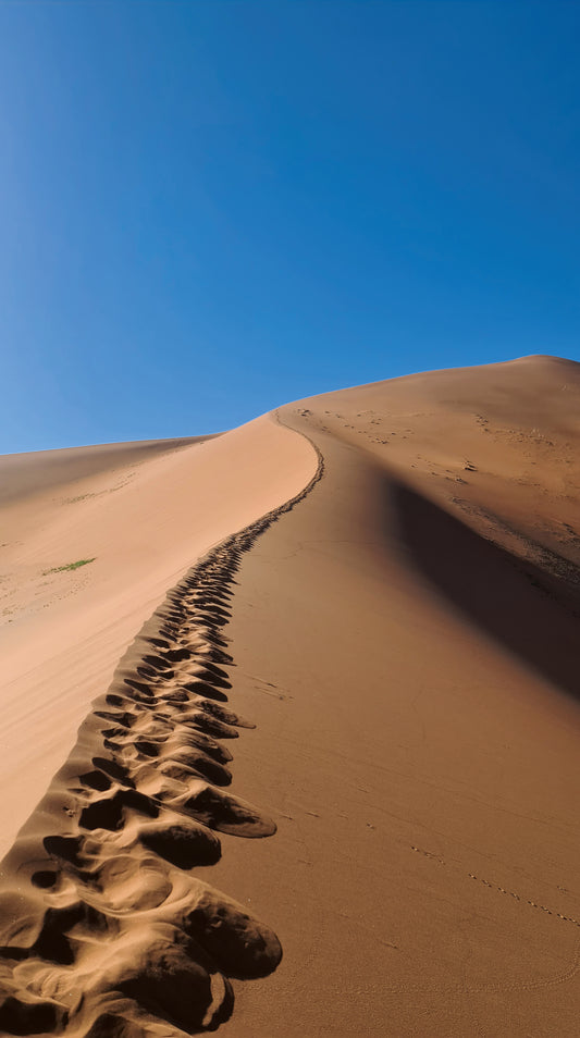 Pistes L1017 dans le Namib